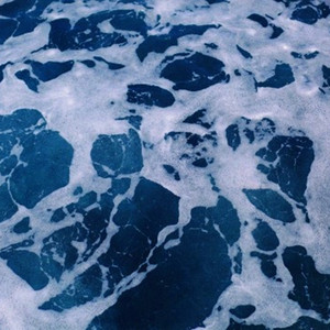 男男女女性欲欧美QQQXXX
