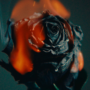 国产一级淫欲aaa
