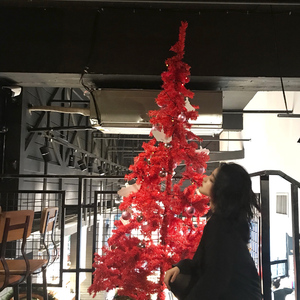 中文成人网站导航
