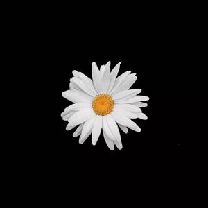 床上的免费的很黄60分钟视频
