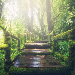 中国平安人寿保险2025年一季度保费是多
